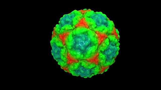 Première vidéo de l’assemblage d’un virus