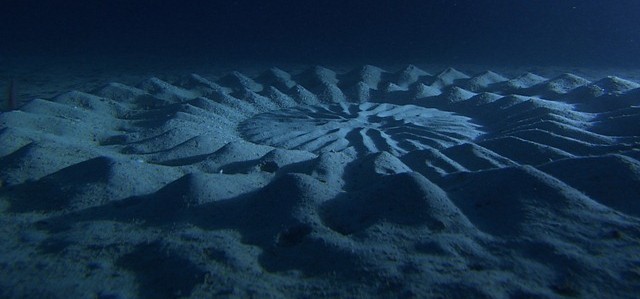 Qu’est-ce qui a créé ces mystérieuses et envoutantes ondulations sur le plancher océanique ?