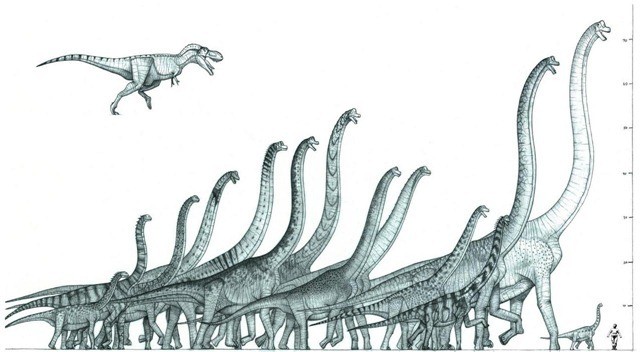 Torticolis climatique : comment des éruptions volcaniques ont-elles entrainé l’évolution d’énormes dinosaures au long cou pendant le Jurassique ?