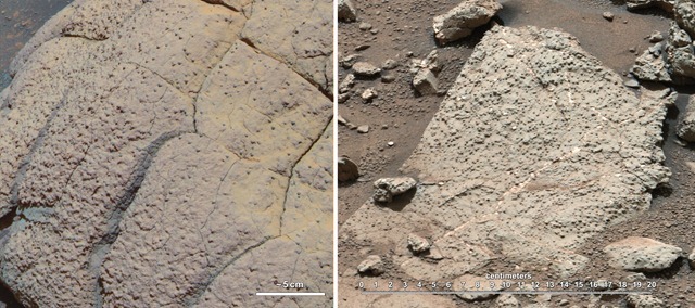 Le Curiosity dévoile ses résultats : il y a les principaux éléments constitutifs de la vie sur Mars