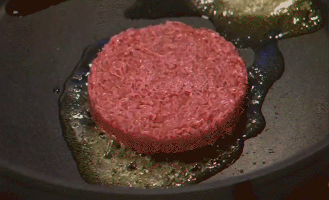 La dégustation du premier hamburger in vitro