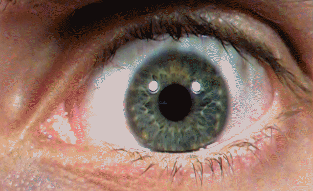 La taille de vos pupilles varie en fonction du nombre d’objets que vous regardez