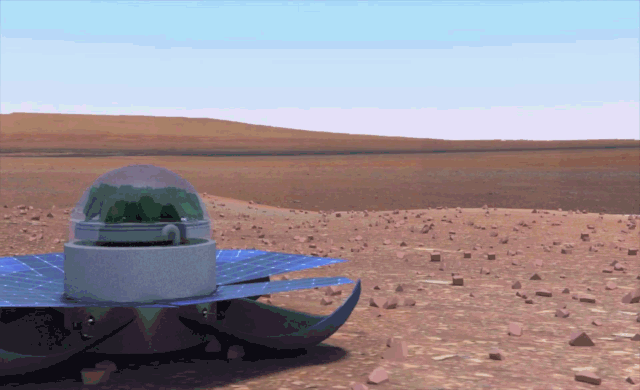 Popeye sur Mars ou comment préparer des épinards pour nos futurs colons* (Vidéo)