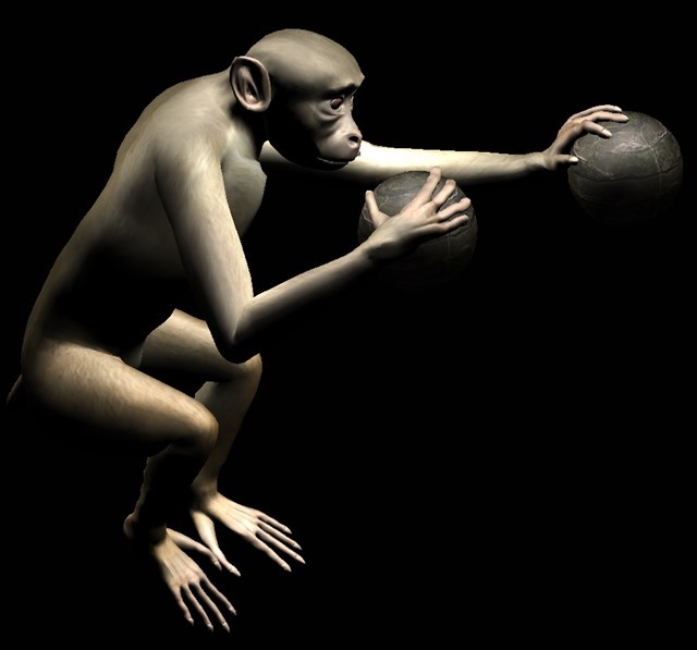Des singes contrôlent deux bras virtuels uniquement par la pensée