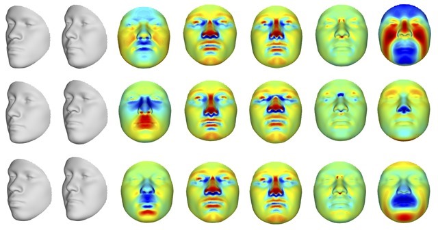 Science forensique : reconstruire un visage à partir d’un ADN
