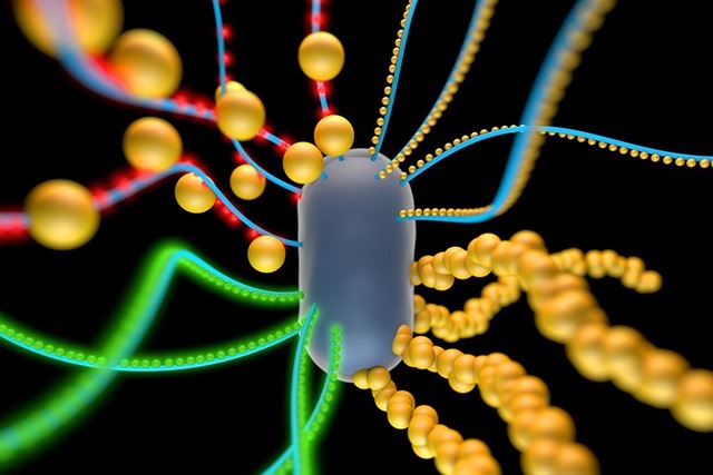 En attendant l’électronique capable de s’autoréparer : des bactéries génétiquement modifiées pour produire du non-vivant