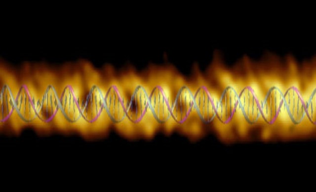 Ce que révèle la double hélice de notre ADN au toucher