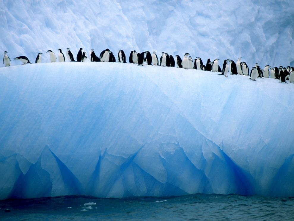 La perte de glace en Antarctique fait varier la gravité terrestre