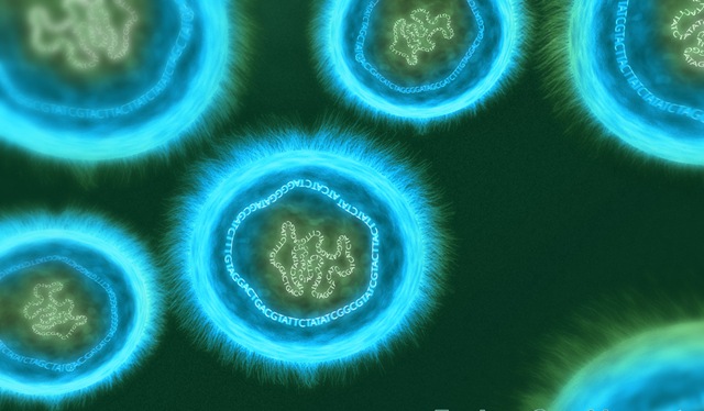 Toute la vie multicellulaire pourrait descendre d’une invasion parasitaire.