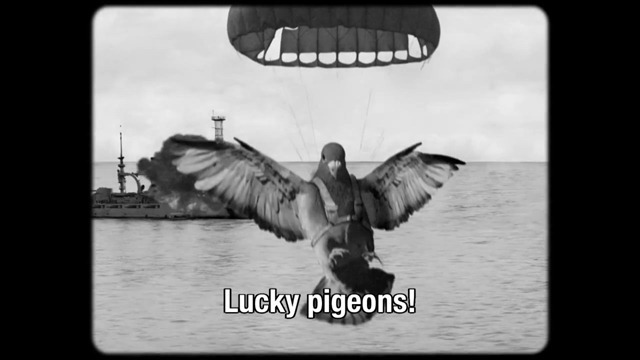 Quand les pigeons guidaient les missiles. (Vidéo)