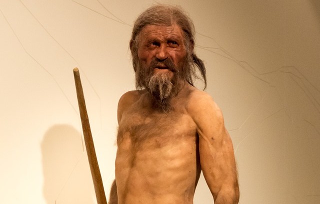 Ötzi : l’homme des glaces souffrait-il d’ulcères de l’estomac ?