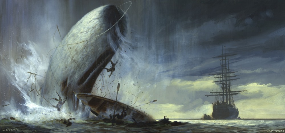 Moby Dick : les cachalots ont le melon pour éperonner