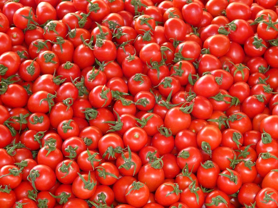 Pourquoi il faut éviter de conserver ses tomates dans le frigidaire