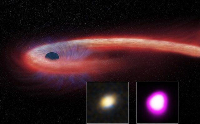 Une étoile qui est si longuement engloutie par un trou noir que l’évènement dépasse les limites de la physique