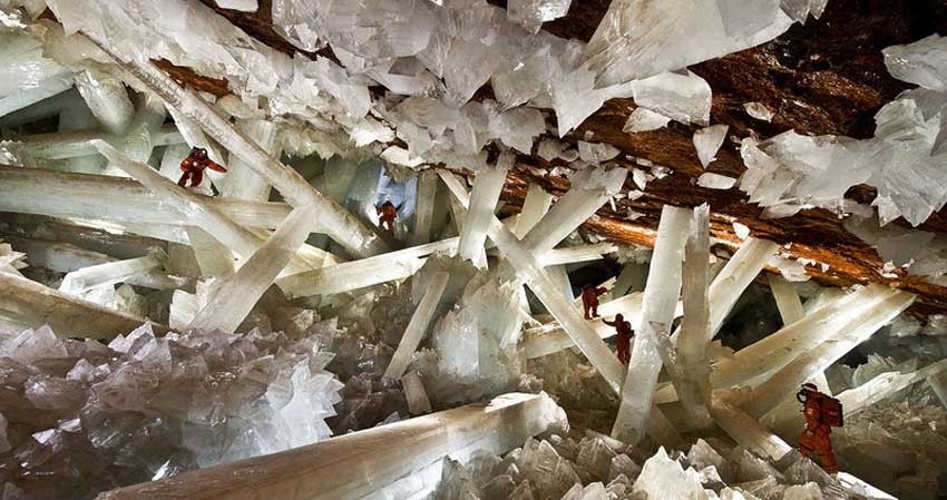 Une ancienne vie subsiste dans de grands cristaux et dans les conditions extrêmes d’une mine au Mexique