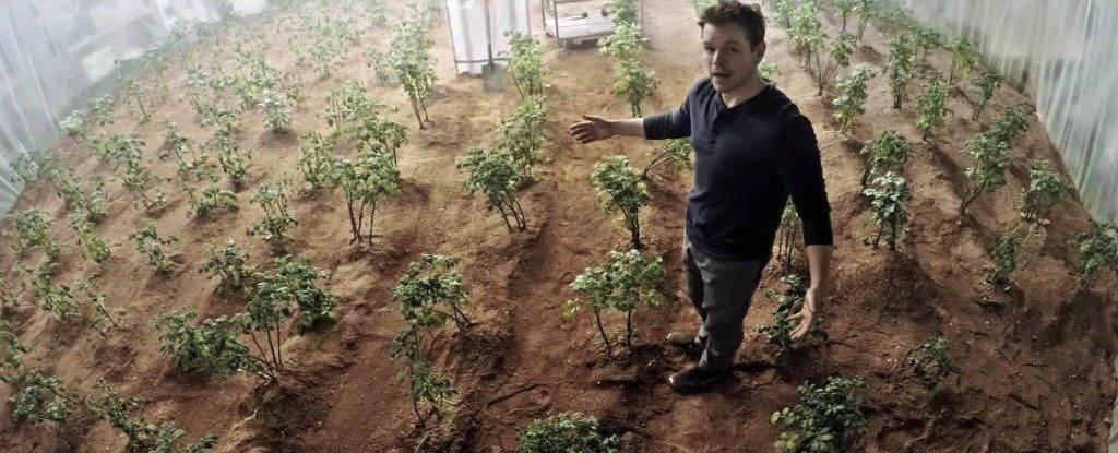 Effectivement, des pommes de terre pourraient pousser sur Mars