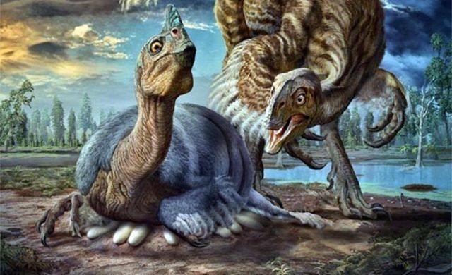 Un dinosaure ressemblant au “plus terrifiant poulet du monde” trouvé à l’intérieur de son énorme œuf