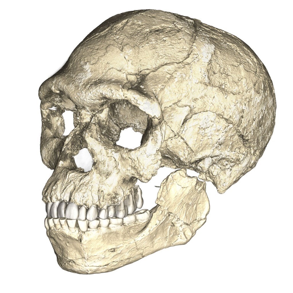 La découverte des fossiles des plus anciens homo sapiens remet en question le calendrier de notre évolution