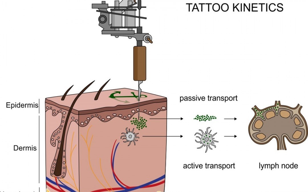 Quand les nanoparticules des tatouages circulent dans le corps