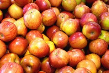 Quelle est la meilleure technique pour débarrasser les pommes de leurs pesticides avant de les manger ?