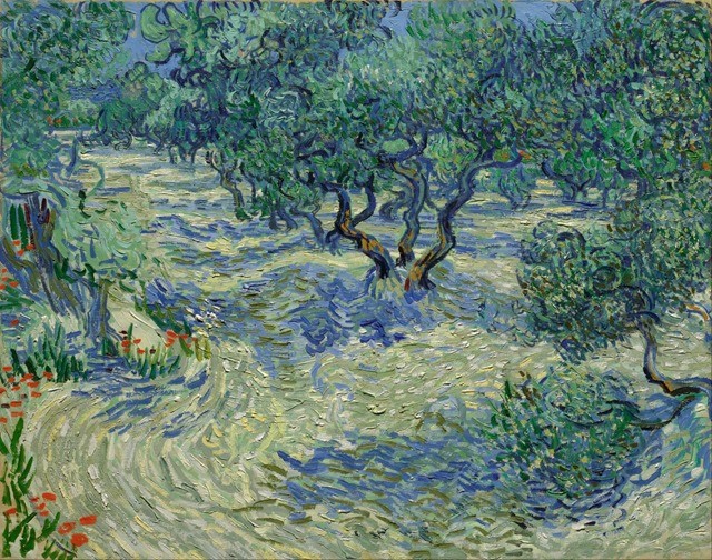 Pendant 128 ans, le cadavre d’une sauterelle incrustée dans une célèbre toile de Van Gogh est passé inaperçu