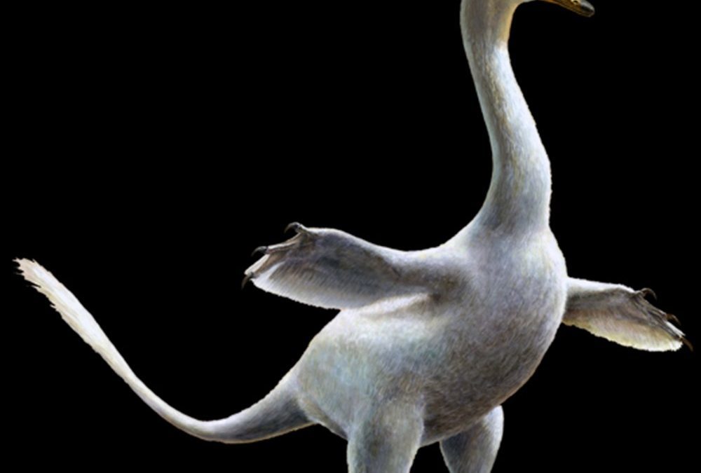 Sur l’étrange dinosaure moitié vélociraptor, moitié cygne qui prouve que les raptors nageaient aussi