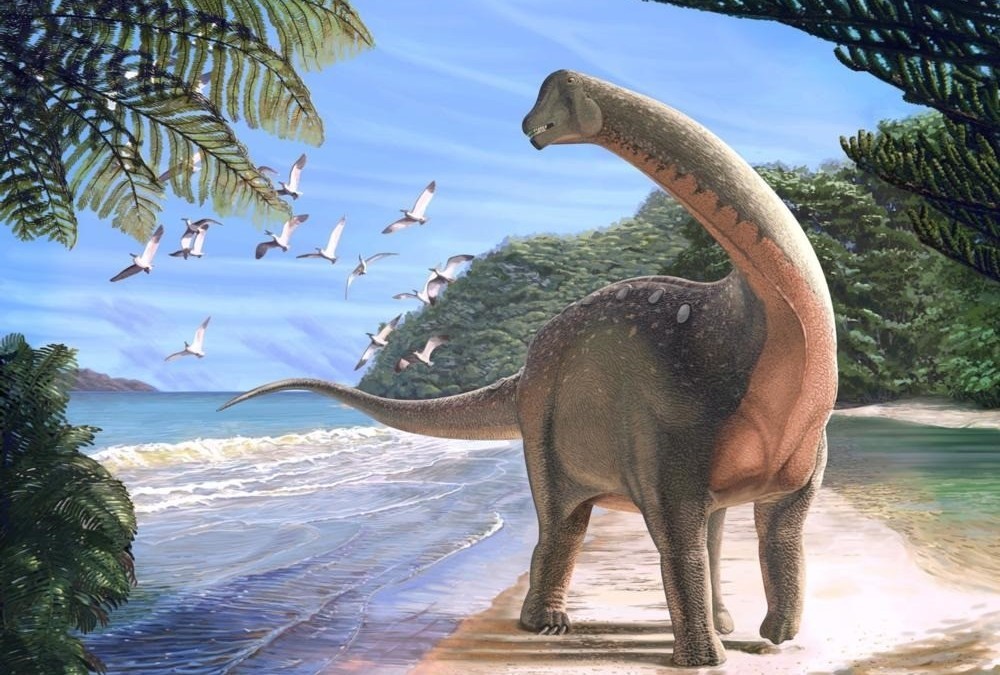 Une nouvelle espèce de grands sauropodes découverte en Égypte comble un fossé dans l’histoire des dinosaures