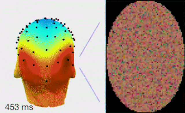 Capter l’activité électrique du cerveau pour reconstruire le visage perçu