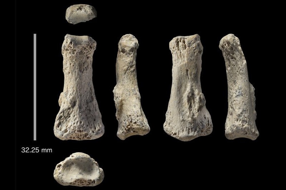Un doigt vieux de 85 000 ans complique un peu plus l’origine africaine de l’humain moderne