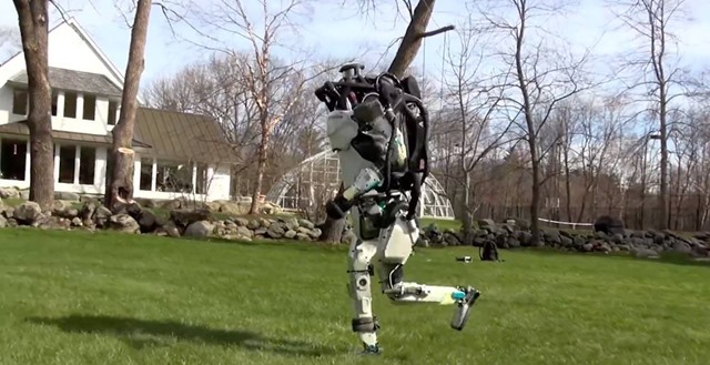 Le robot Atlas fait son jogging pendant que le SpotMini visite des bureaux (vidéos)