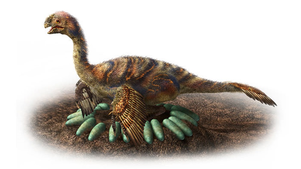 Comment les dinosaures ne transformaient pas en omelette les œufs qu’ils couvaient ?
