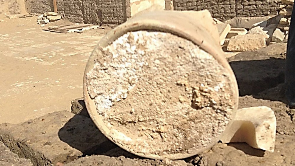 Le plus vieux fromage découvert, accompagné d’une bactérie mortelle, en Égypte