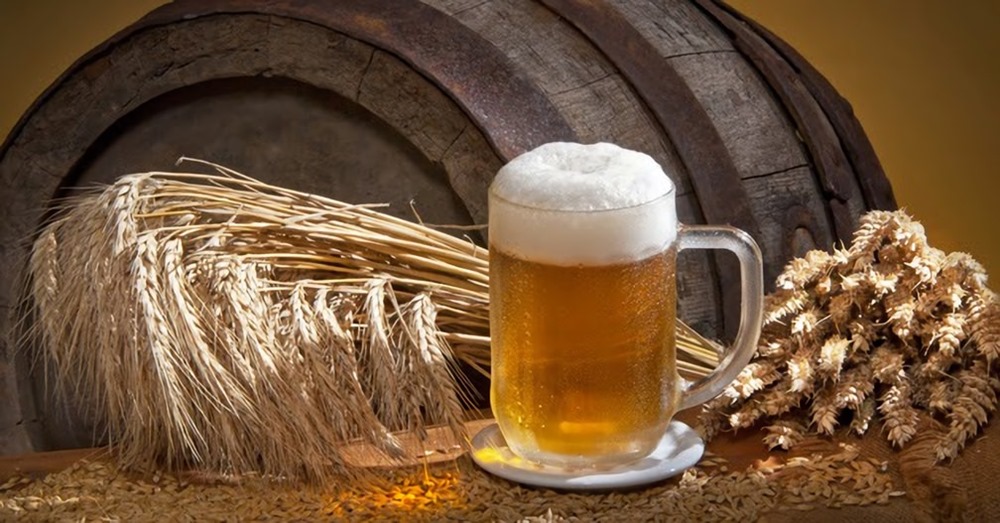 Bière de 13 000 ans : la plus ancienne trace connue d’alcool artificiel dans le monde