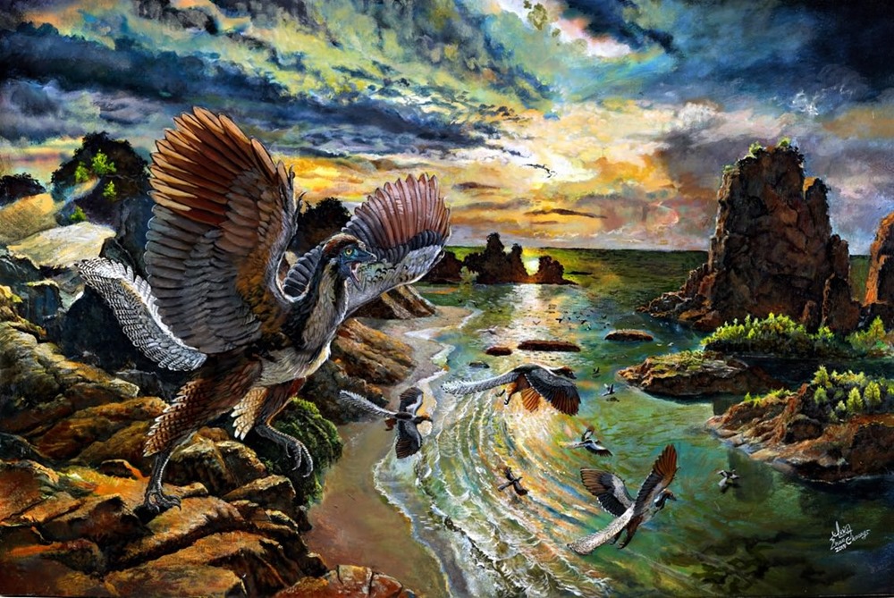 Un fascinant fossile allemand pourrait être une toute nouvelle espèce d’Archeopteryx, le chainon manquant entre les dinosaures et les oiseaux