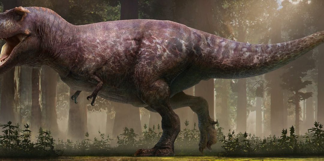 Et si le Tyrannosaurus rex avait des petits bras pour éviter de se les faire dévorer lors d’un repas entre amis