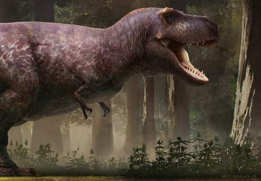 Un scientifique recalcule le nombre de Tyrannosaurus rex ayant existé