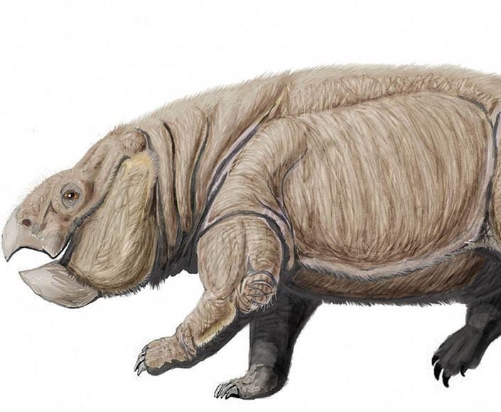 Cet ancien ancêtre des mammifère de la taille d’un éléphant vivait aux cotés des dinosaures