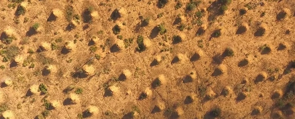 L’immense étendue de millions de termitières vieilles de 4 000 ans, trouvées au Brésil et visible depuis l’espace