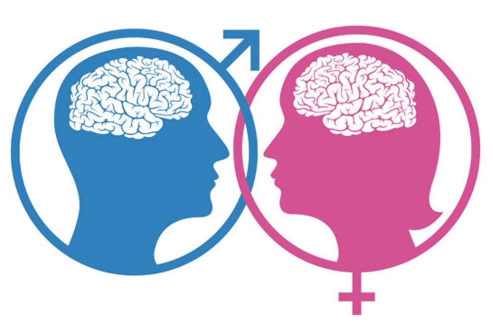Le cerveau des femmes est plus jeune de quelques années par rapport à celui des hommes