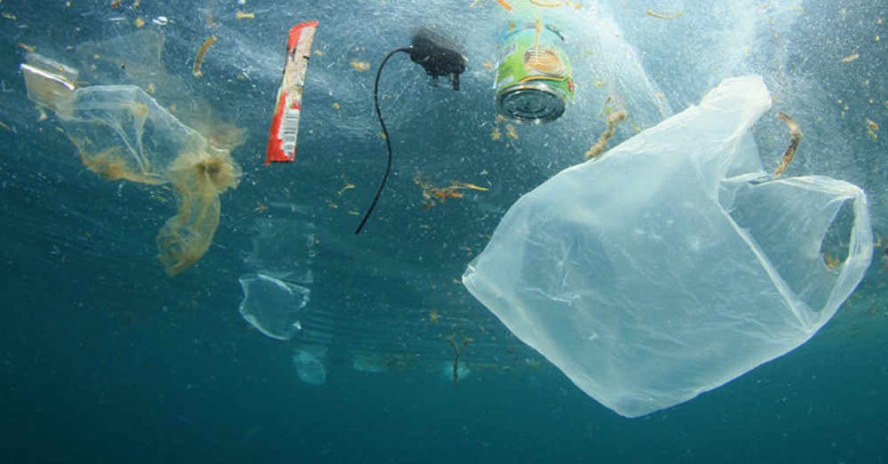 Même dans les abysses il n’y a plus aucun écosystème marin qui ne soit pas affecté par la pollution plastique