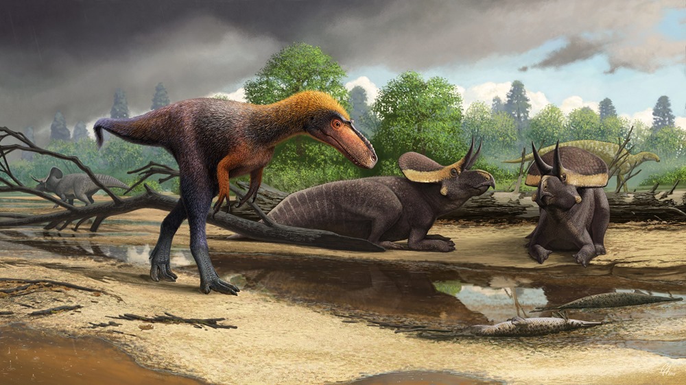 Un autre ancêtre miniature du Tyrannosaurus Rex