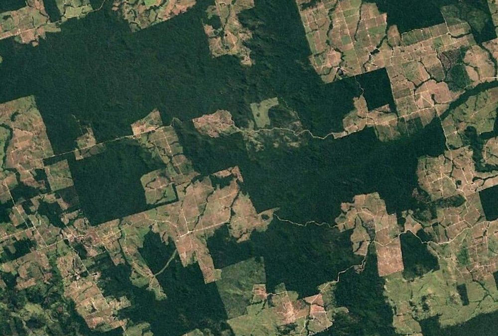 Le directeur de l’agence spatiale brésilienne annonce l’ampleur de la déforestation… son président le licencie