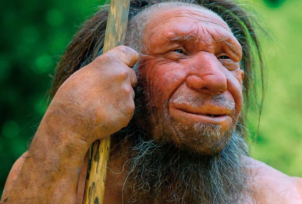 Comme les humains, les néanderthaliens souffraient de “l’oreille du nageur”, preuve qu’ils passaient du temps à barboter