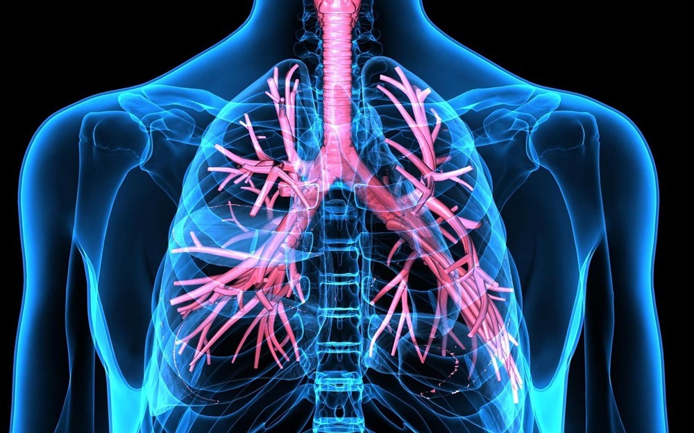 Asthme et obésité, parce que la graisse s’accumule aussi dans les poumons