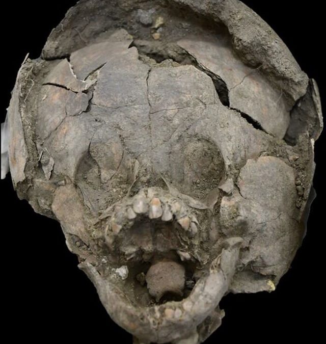 Découverte de squelette de bébés portant des crânes de jeunes enfants en guise de casques