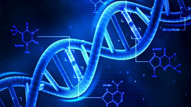 Doublon médico-légal : l’ADN de son sperme a été complètement remplacé par celui d’un autre homme