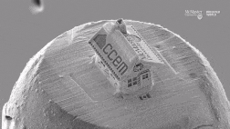 La plus petite maison construite sur la tête d’un microscopique bonhomme de neige