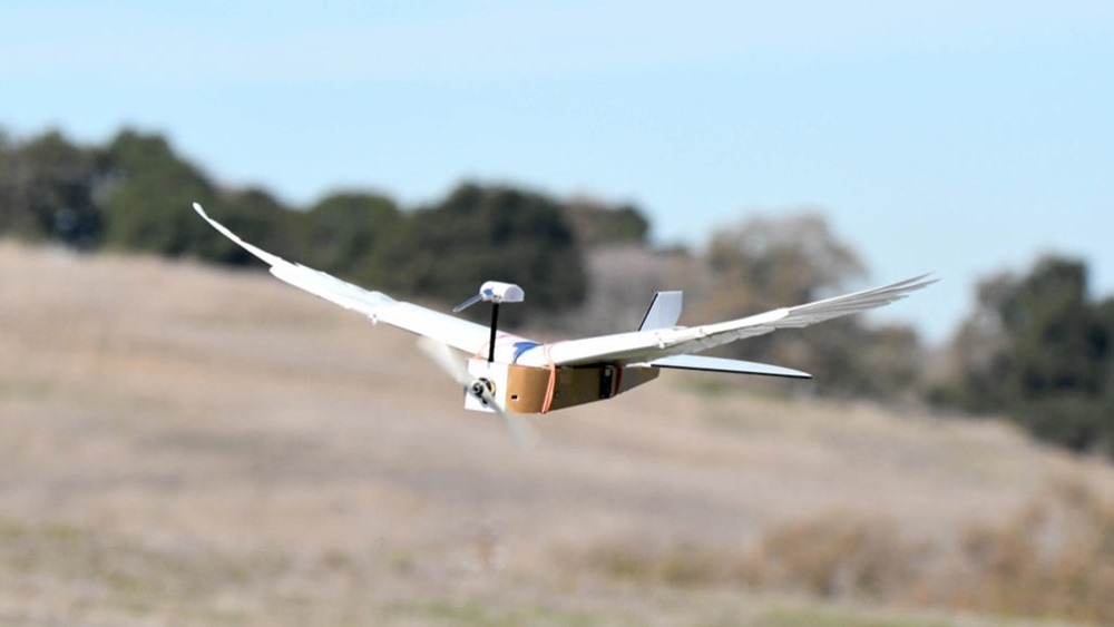PigeonBot : un drone avec de vraies plumes de pigeon pour améliorer son agilité