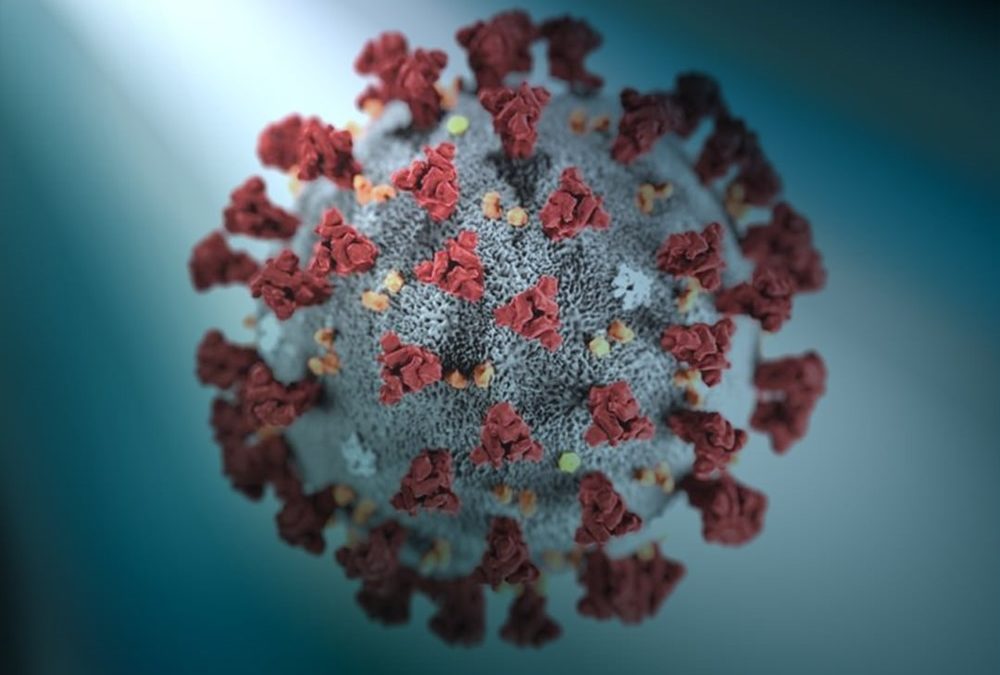 Coronavirus : le SARS-CoV-2 craint apparemment la lumière du Soleil
