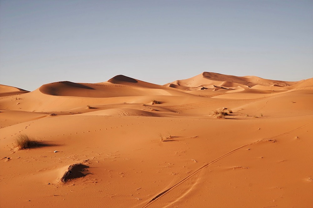 Dans 50 ans, des milliards de personnes pourraient être confrontées à une chaleur semblable à celle du Sahara